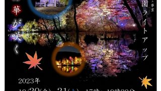 観音沼森林公園ライトアップ